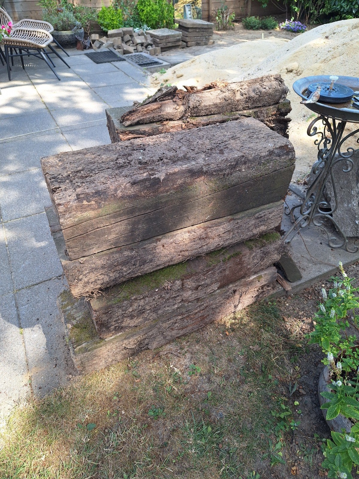Gebruikte Bielzen voor Tuin en Landschap, Tuin en Terras, Bielzen en Borders, Ophalen, Gebruikt, 25 cm of meer, Biels