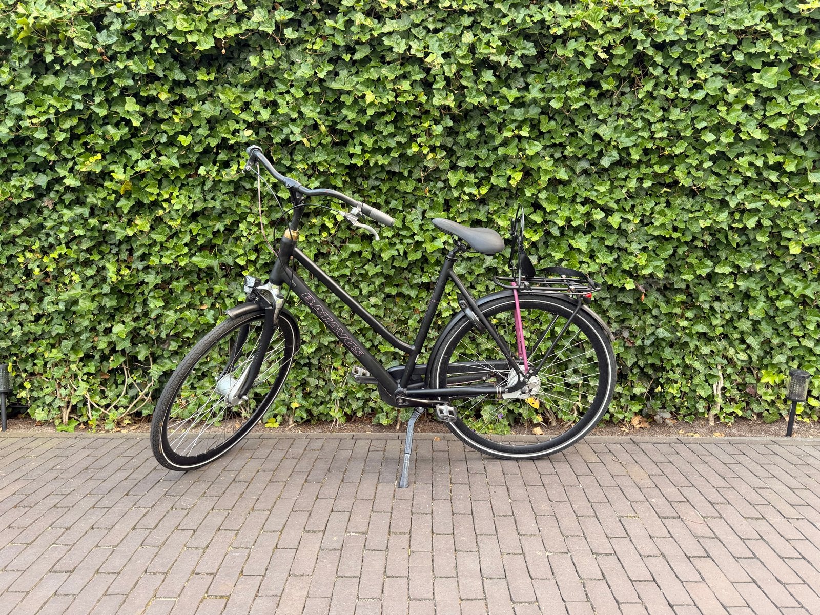 Batavus Dinsdag damesfiets, Ophalen, Velgrem, Versnellingen, Batavus