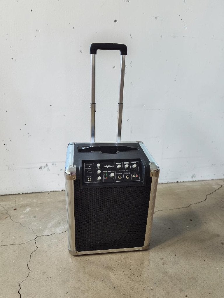 Wonky Monkey draadloze 60W speaker (accu + bluetooth), Gebruikt, Overige typen, 60 tot 120 watt, Ophalen