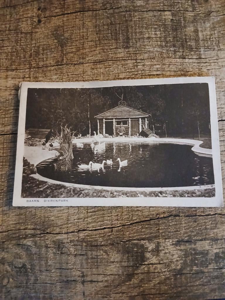 Oude ansichtkaart Baarn Dierenpark - Gelopen 1954, Ophalen of Verzenden, 1940 tot 1960, Gelopen, Utrecht