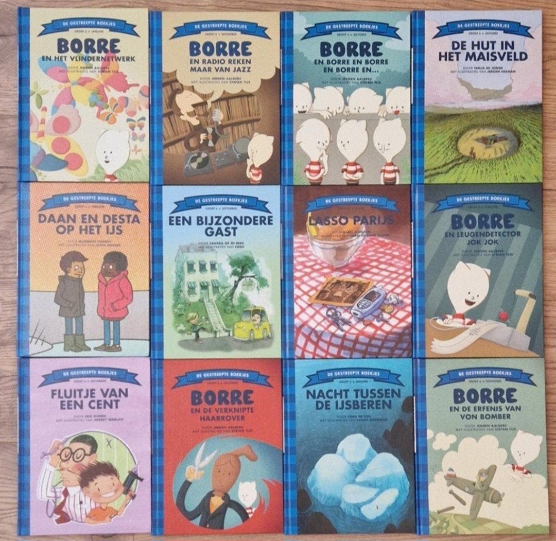 Borre groep 6, Boeken, Ophalen of Verzenden, Zo goed als nieuw, Fictie algemeen