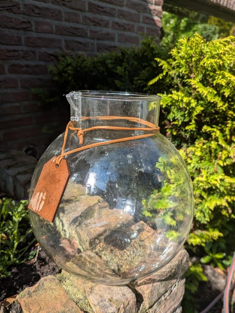 Glazen vaas/terrarium met leren label, Ophalen, Overige kleuren, 50 tot 75 cm, Glas