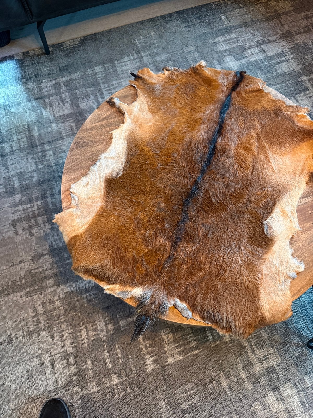 Prachtige geitenhuid - Bruin/Wit, Ophalen of Verzenden, Natuurlijk materiaal, Bruin, Landelijk