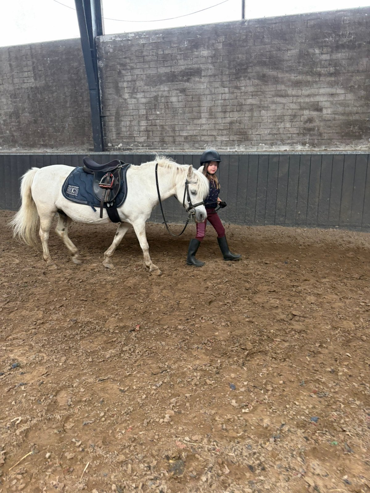 Lease pony, Dieren en Toebehoren, Paarden en Pony's | Verzorgingsproducten, Ophalen of Verzenden