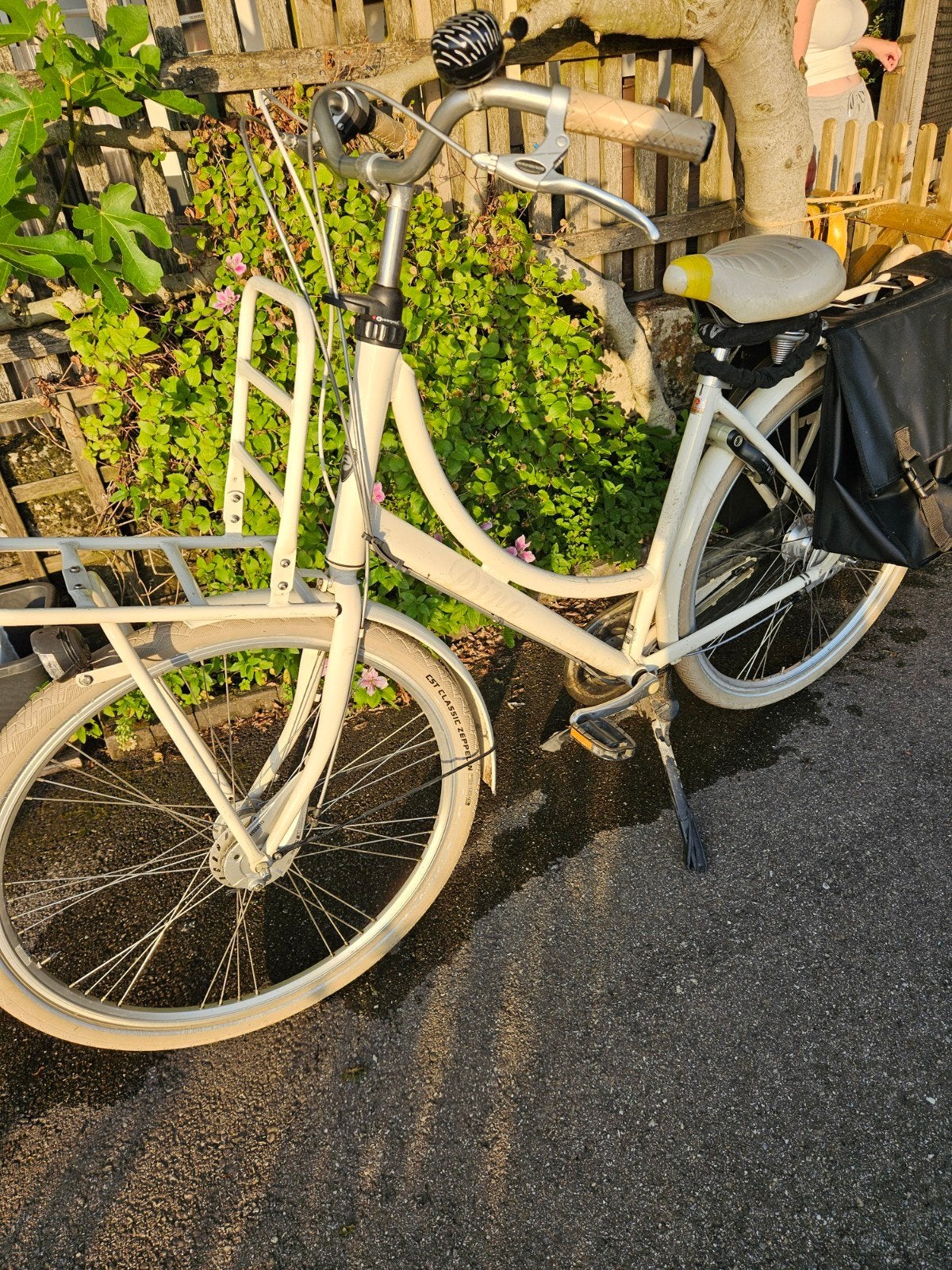 Batavus Diva Damesfiets - Crème met Voordrager, Ophalen, Velgrem, Batavus, 50 tot 53 cm