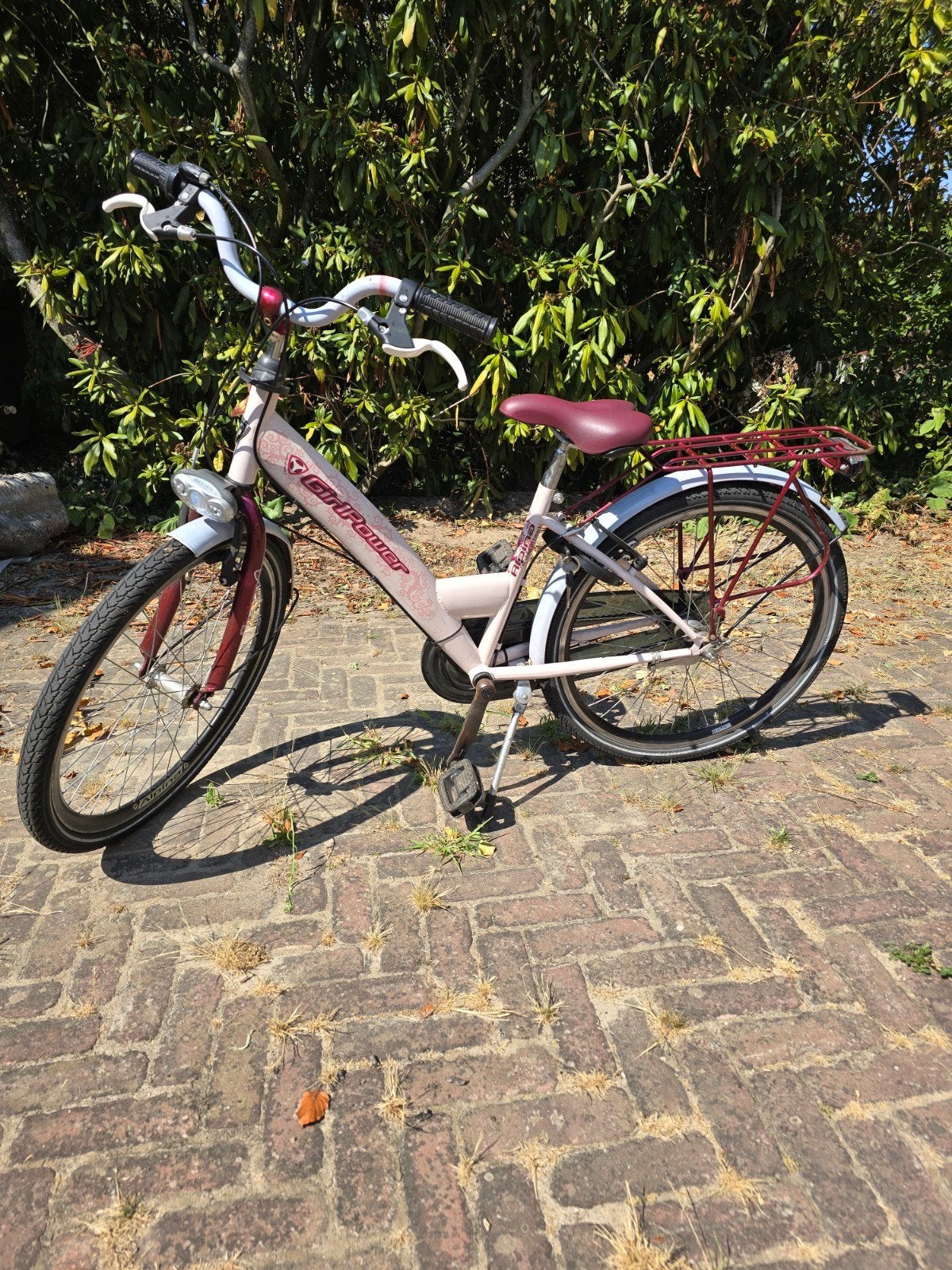 Alpina 24 inch meisjesfiets, Ophalen, Terugtraprem, Alpina, Handrem