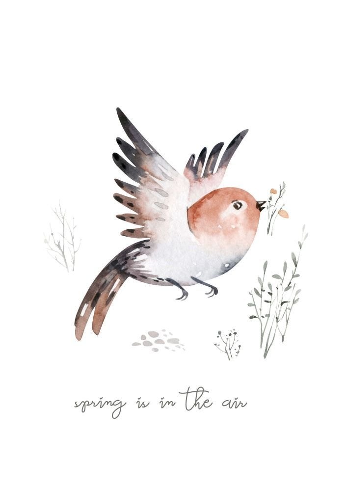 Kinderposter A4 Forest Friends Vogel Little Dreamzzz, 30 cm, Bi & Li Creaties, 21 cm, Nieuw