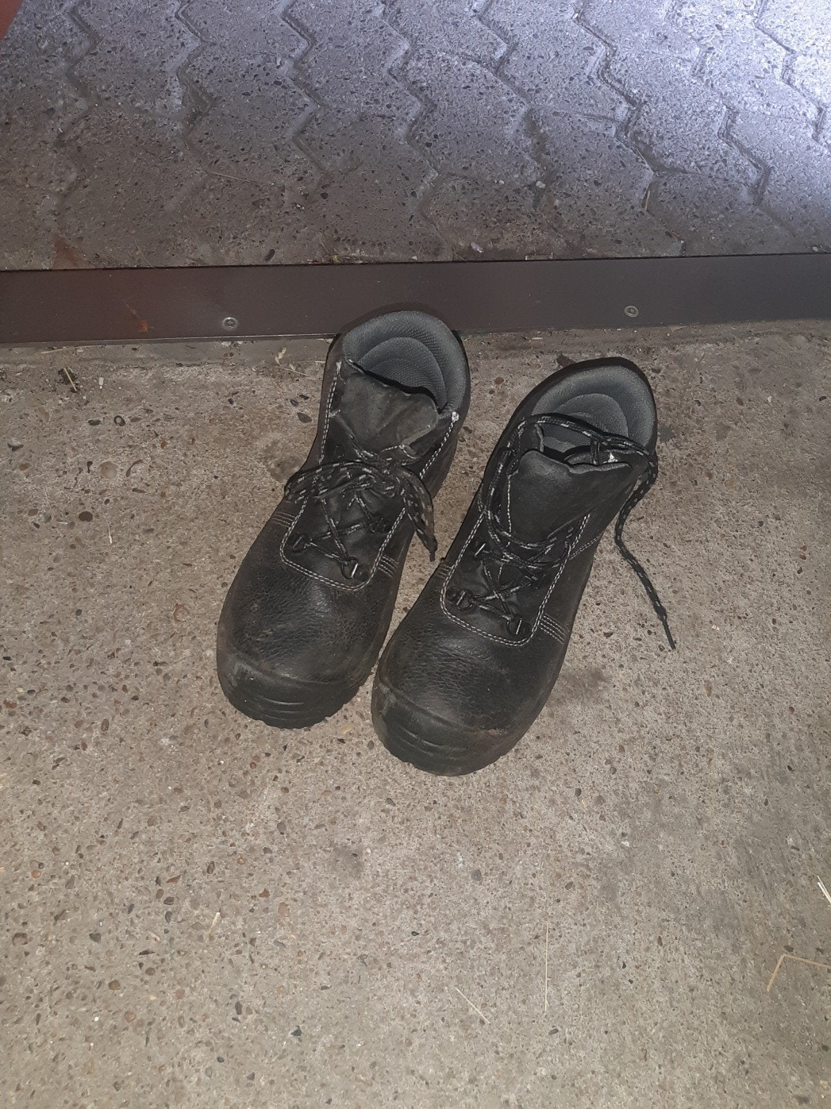 Werkschoenen maat 37, Ophalen, Nieuw