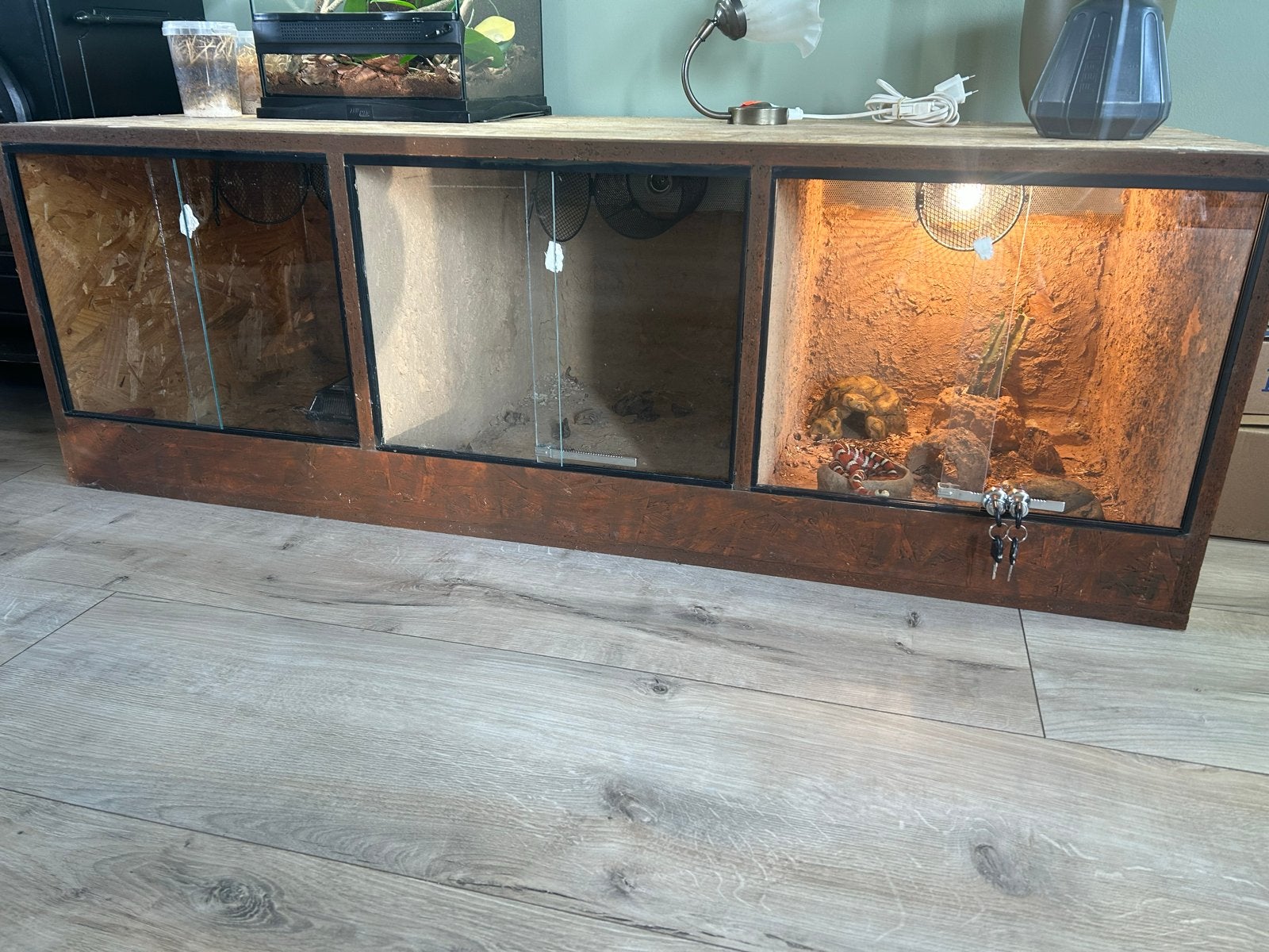 Osb terrarium met drie delen, Dieren en Toebehoren, Reptielen en Amfibieën | Toebehoren, Ophalen