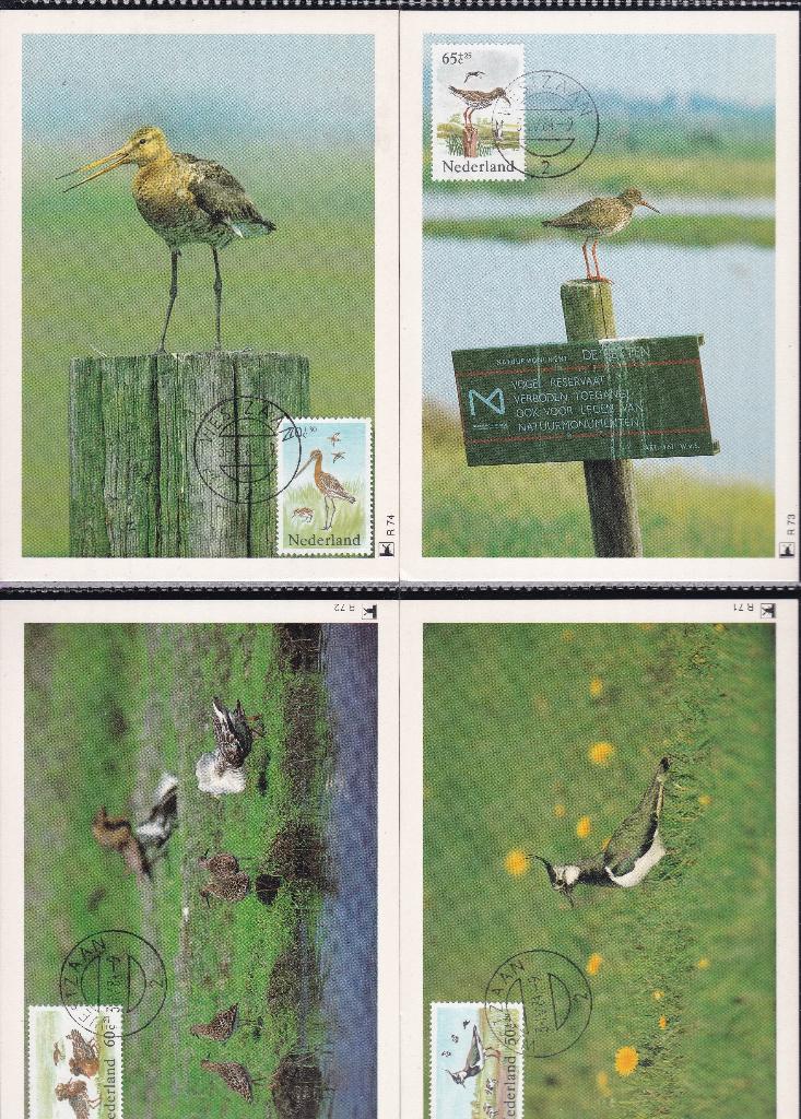 Maximum kaarten uitgave Zaanstad nr. 71-74, Ophalen of Verzenden, Briefkaart