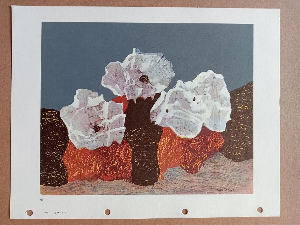 Max Ernst Offset prent druk jaren 50-60 Zeeanemonen, Antiek en Kunst, Ophalen of Verzenden