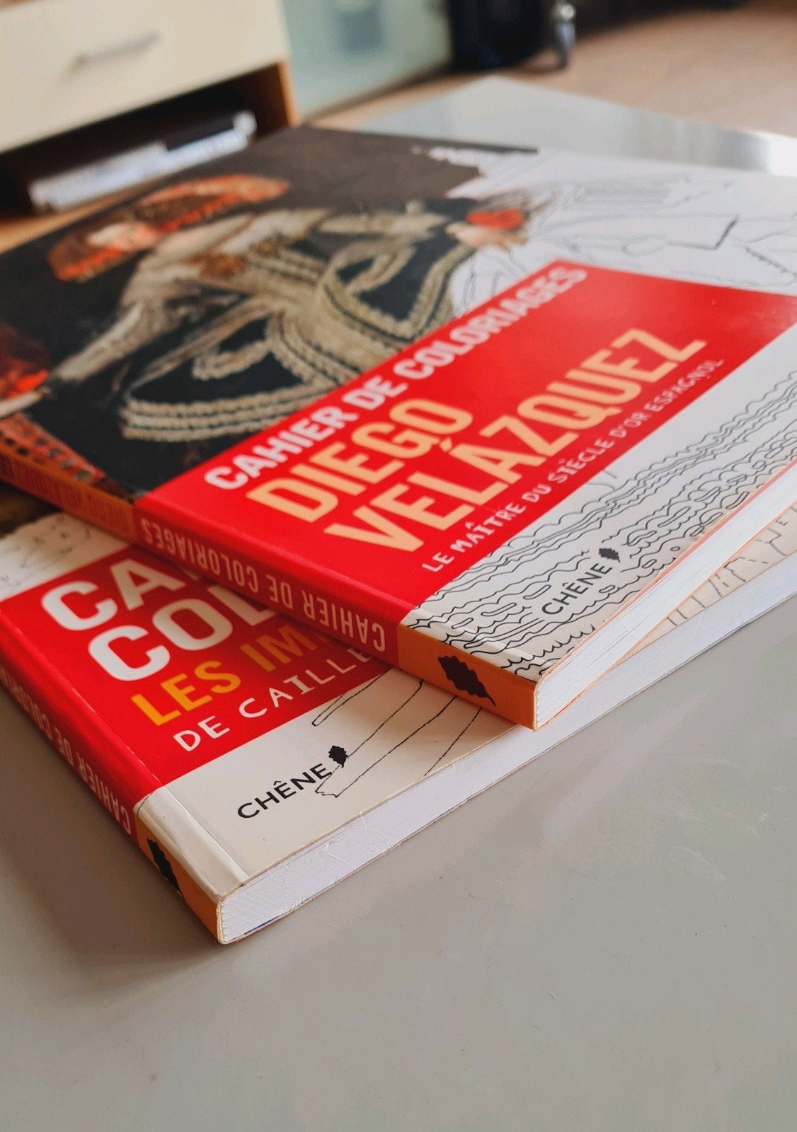 2 supermooie kunst-kleurboeken voor zeer gevorderden, Boeken, Ophalen of Verzenden, Zo goed als nieuw, Schilder- en Tekenkunst