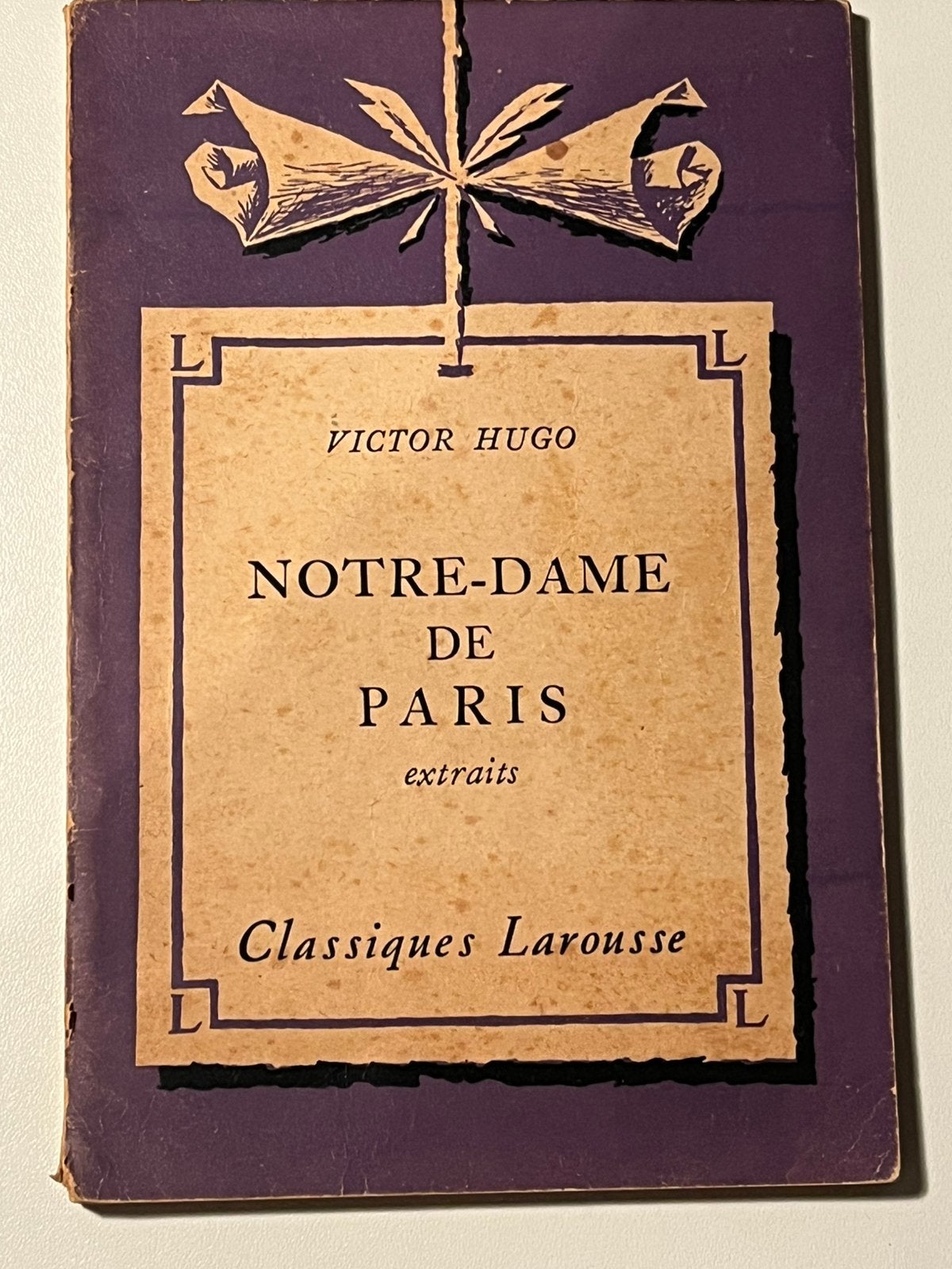 Victor Hugo Notre-Dame de Paris, Boeken, Ophalen of Verzenden, Zo goed als nieuw