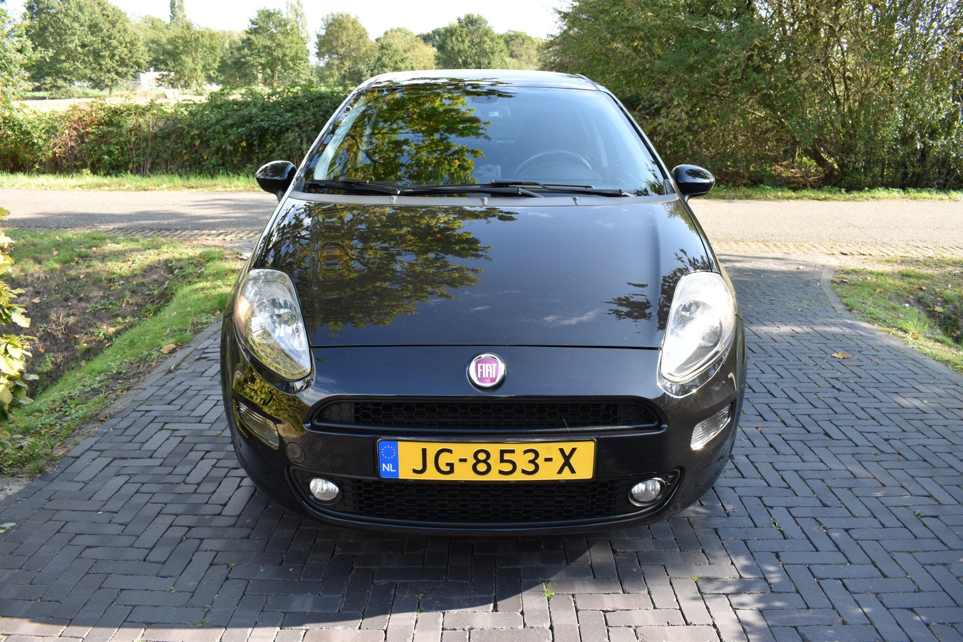 Fiat Punto Evo 0.9 TwinAir Lounge '16 Sportieve uitv. NIEUWS, Auto's, Voorwielaandrijving, Dealer onderhouden, 101 pk, Gebruikt