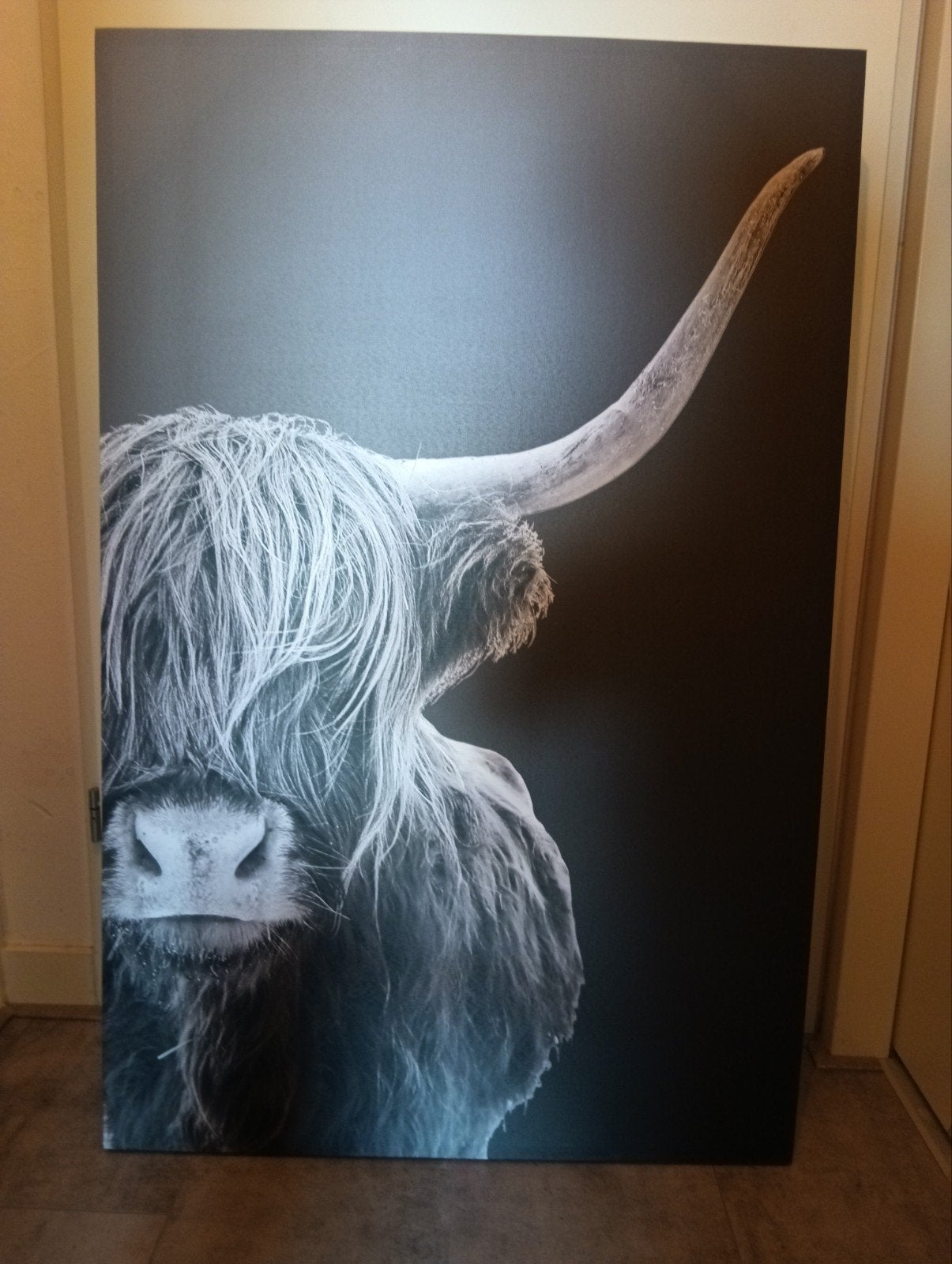foto op canvas, Ophalen of Verzenden, Zo goed als nieuw, Foto of Poster, 75 – 100