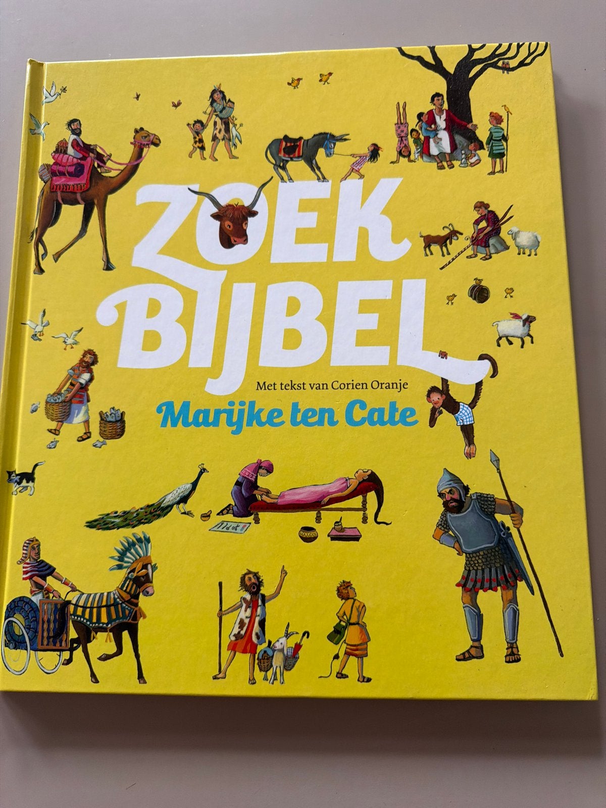 Zoek Bijbel - Marijke ten Cate & Corien Oranje, Ophalen of Verzenden, Zo goed als nieuw, Non-fictie