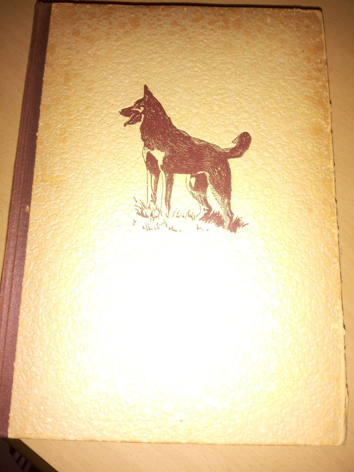 Xingoe, de hond - Ditha Holesch (Vintage Boek), Verzenden, Gelezen, Honden, Ditha Holesch