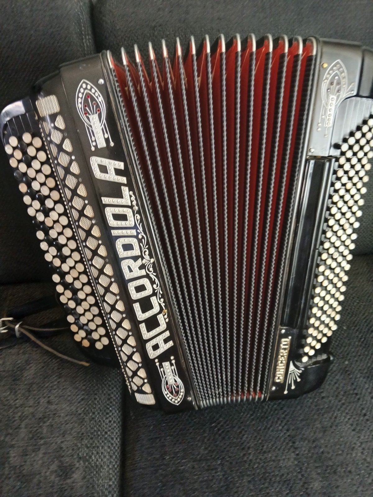 ACCORDIOLA CONCERTO B GRIFF, Muziek en Instrumenten, Ophalen, Zo goed als nieuw, 120-bas, Accordiola