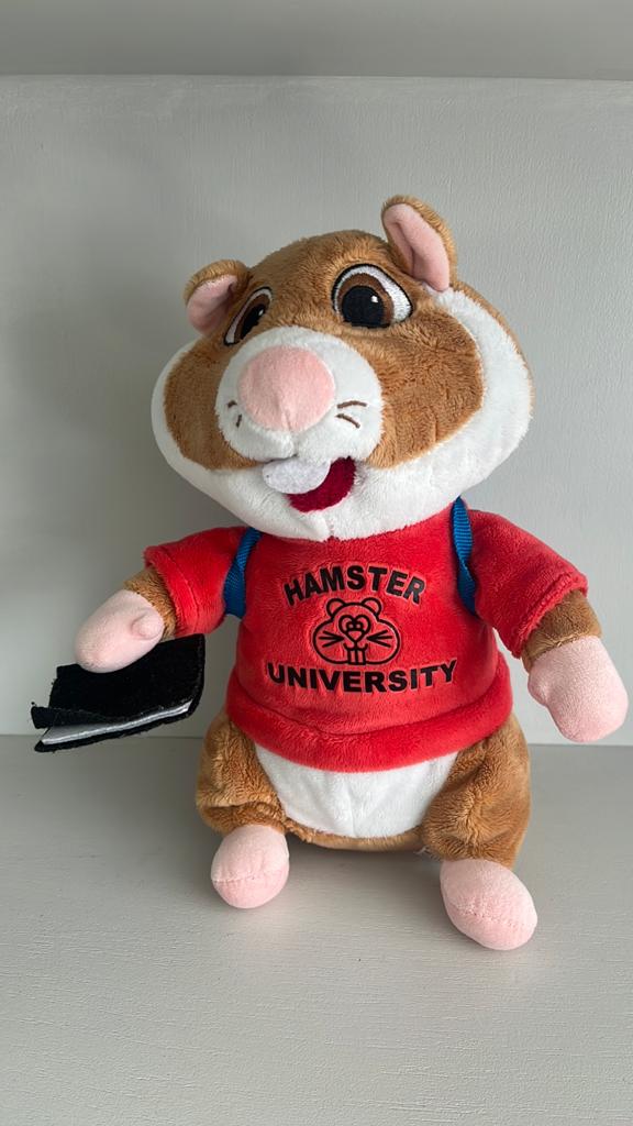 AH hamster university knuffel, school hamster, Ophalen of Verzenden, Zo goed als nieuw, Overige typen