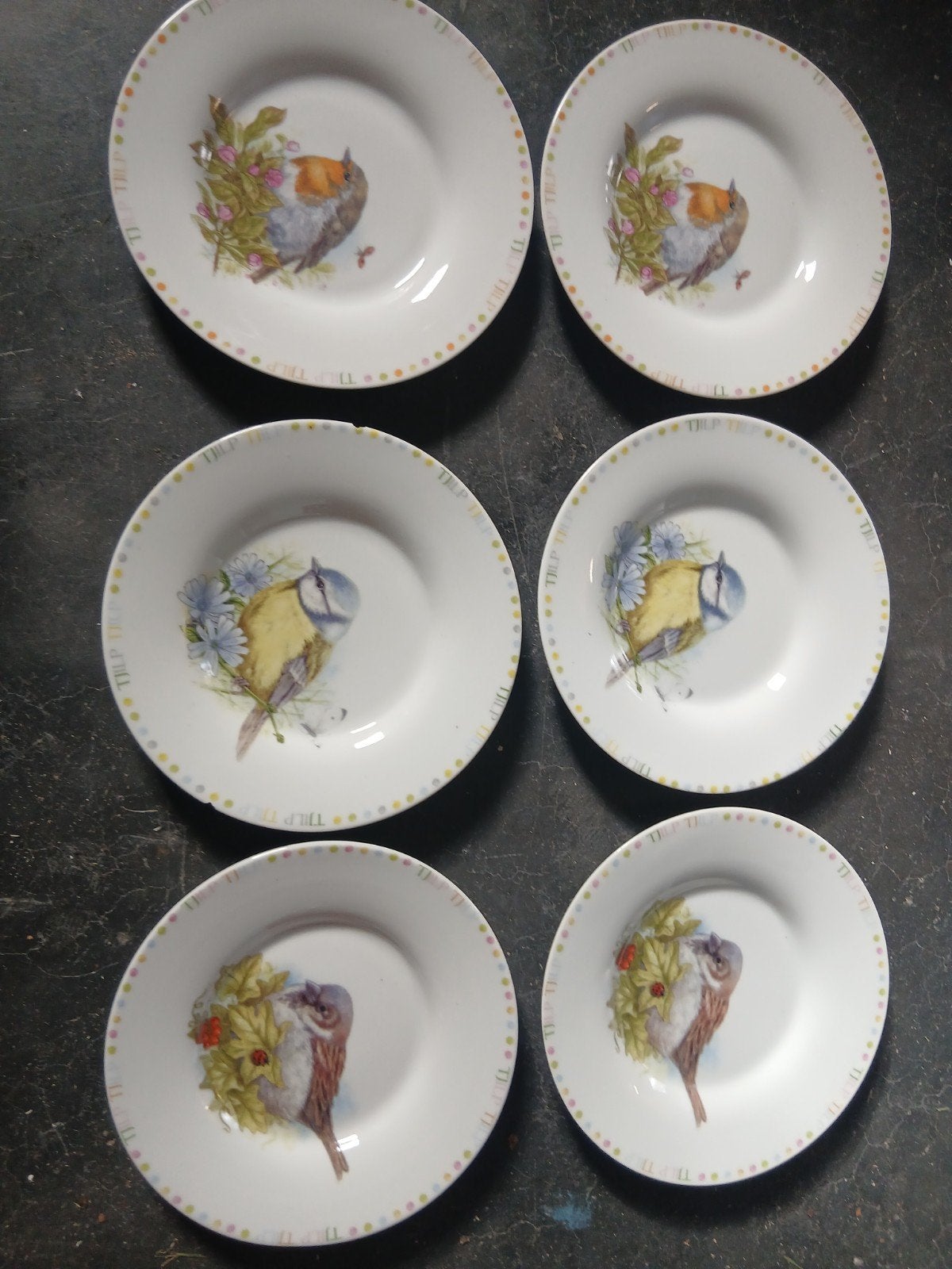 Gebaksbordjes met vogeltjes, 15.5 cm, 6 stuks, Ophalen of Verzenden, Gebruikt, Keramiek, Bord(en)