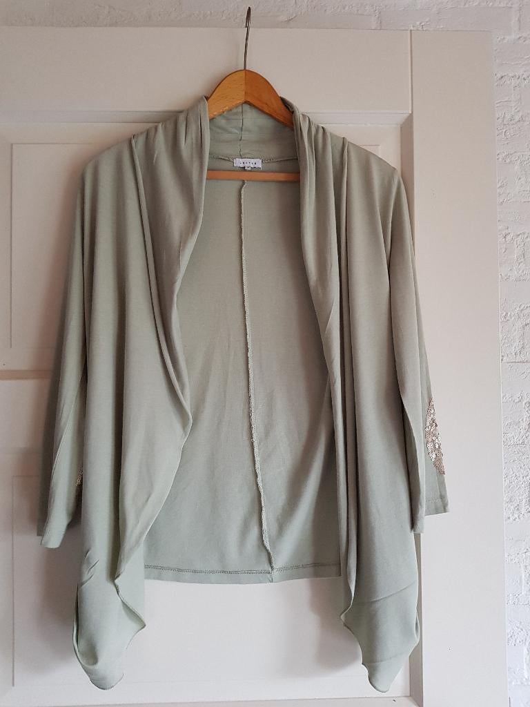 Dames vest ,Costes, Kleding | Dames, Ophalen of Verzenden, Zo goed als nieuw, Costes, Maat 36 (S)