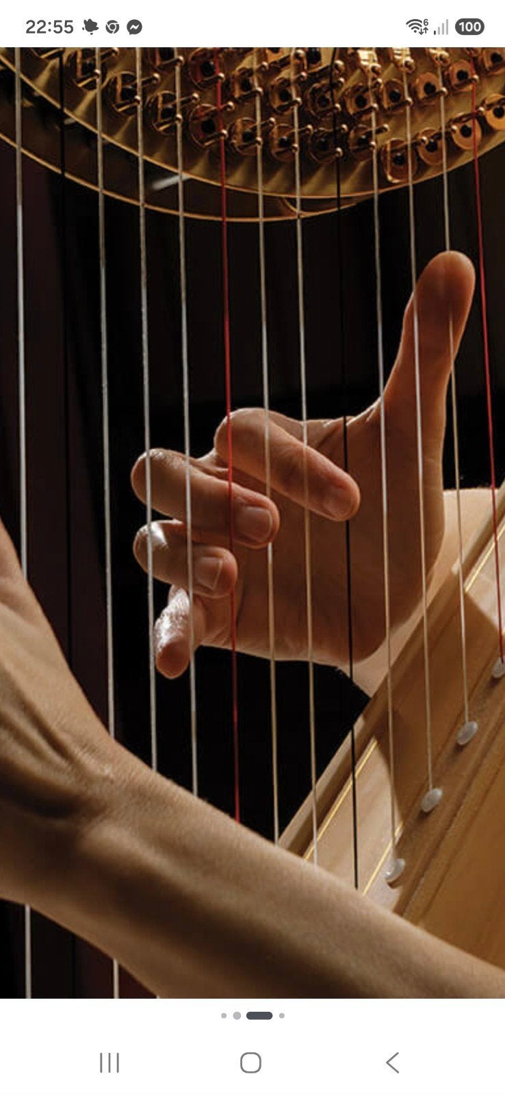 gezocht opknap harp, Muziek en Instrumenten, Ophalen of Verzenden