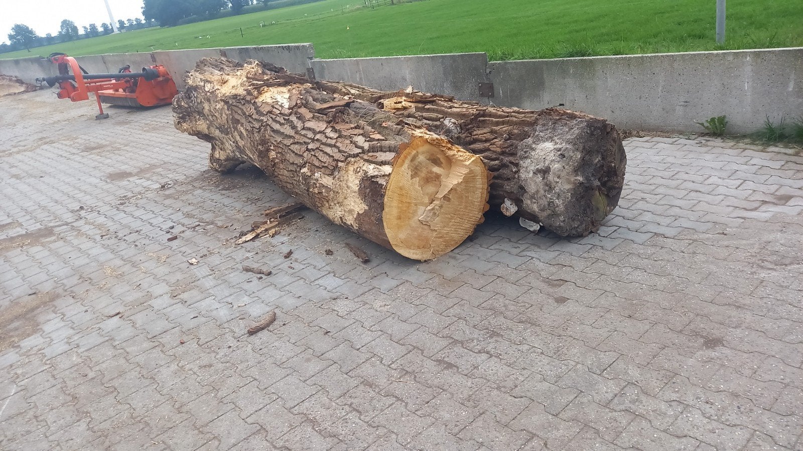 brandhout, 3 tot 6 m³, Ophalen of Verzenden, Overige houtsoorten, Stammen