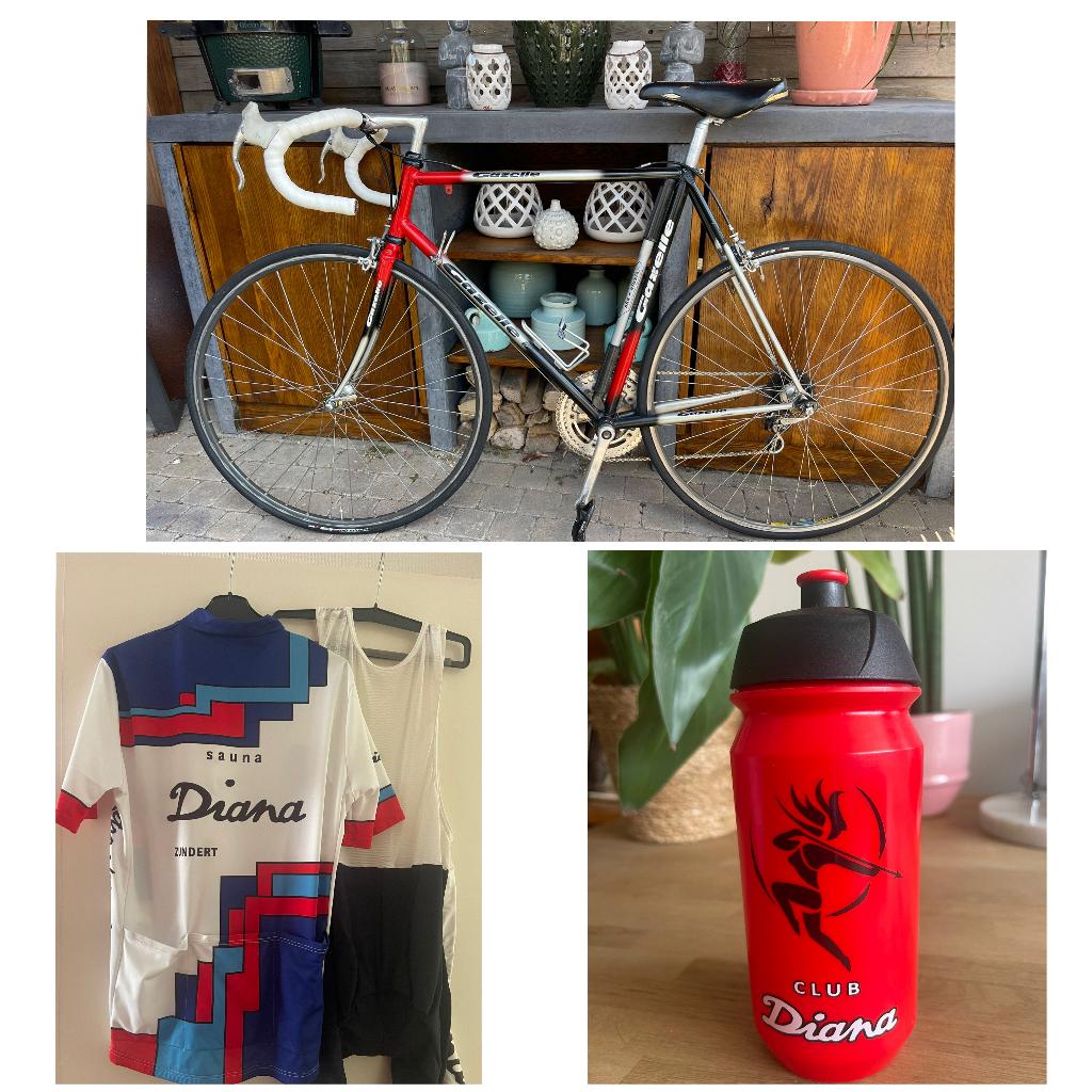 Gazelle Champion Mondial Racefiets van de Sauna Diana Ploeg, Fietsen en Brommers, Fietsen | Racefietsen, Ophalen, Gebruikt, Heren