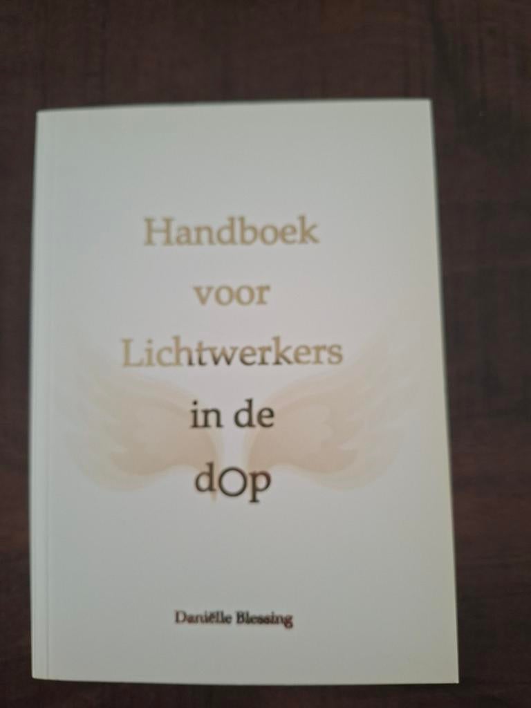 Daniëlle Besseling boeken, Ophalen of Verzenden, Zo goed als nieuw