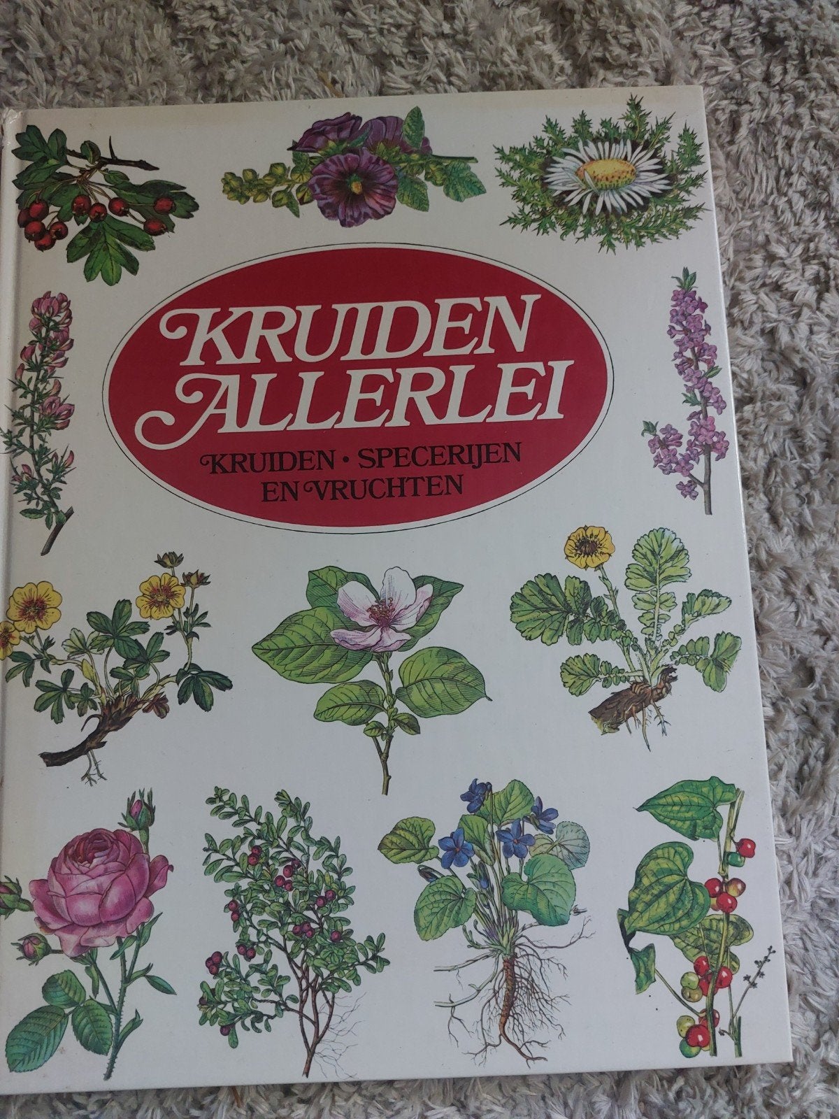 Kruiden Allerlei: Kruiden, Specerijen en Vruchten, Boeken, Ophalen of Verzenden, Gelezen, Bloemen, Planten en Bomen, Onbekend