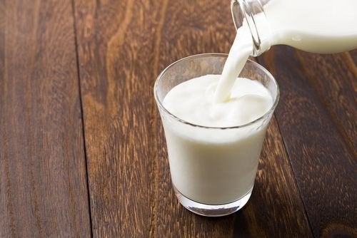 verse, rauwe koeien melk, verse melk uit de tank!, Ophalen