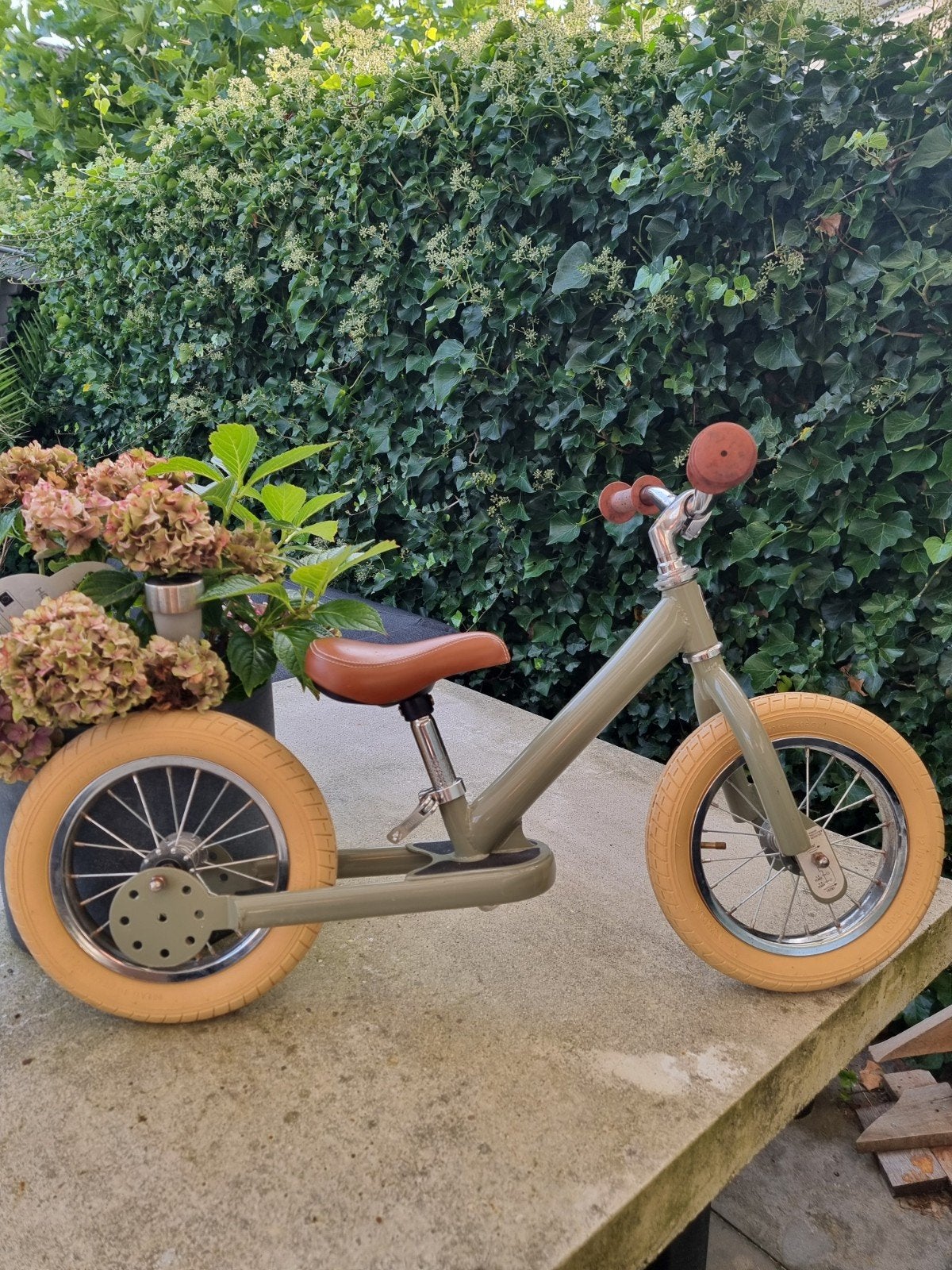 Kinderloopfiets merk Trybike - Groen met bruine accenten, Ophalen, Gebruikt, Minder dan 16 inch, Trybike