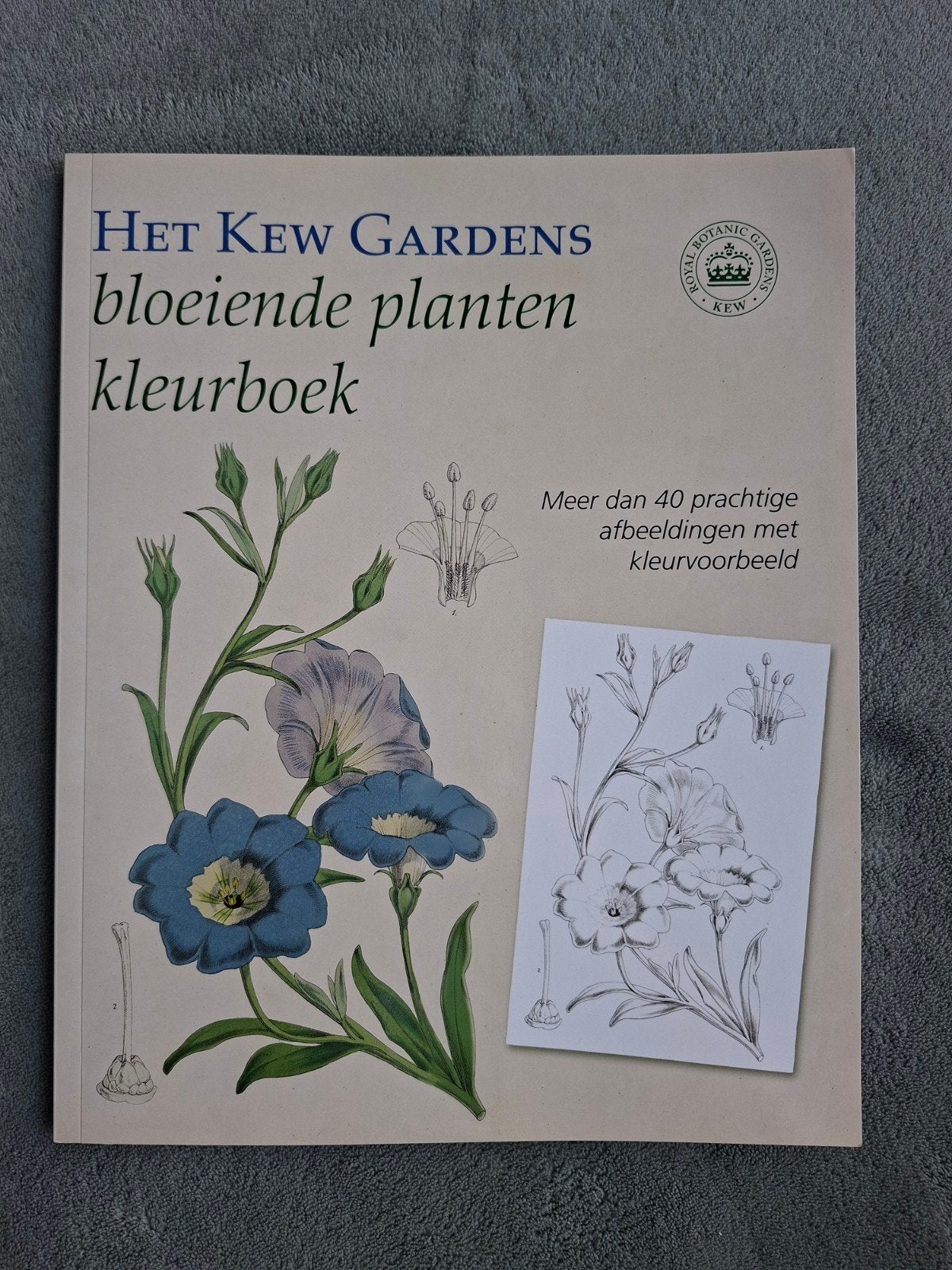 Het Kew Gardens Bloeiende Planten Kleurboek, Boeken, Ophalen of Verzenden, Zo goed als nieuw, Bloemen, Planten en Bomen