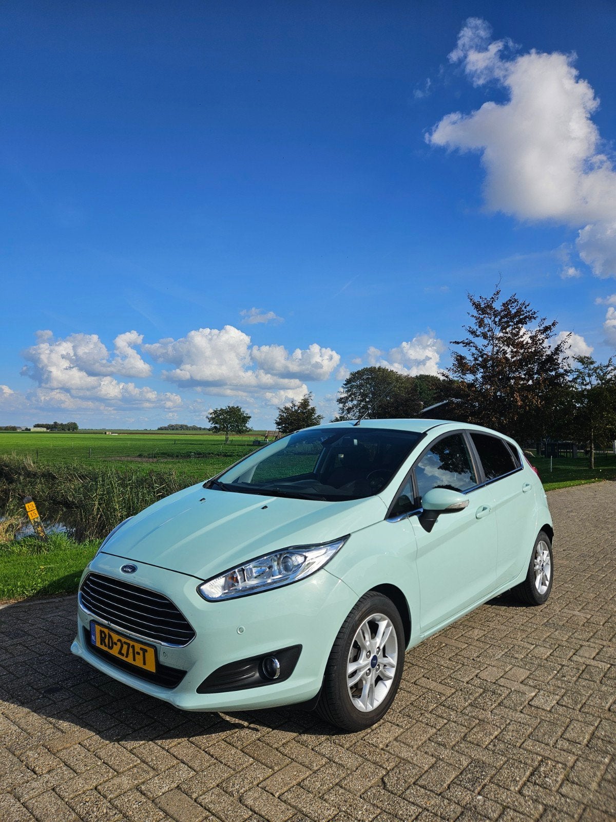 Ford Fiesta 1.5 Tdci 70KW 5DR 2017 Groen, Auto's, Voorwielaandrijving, Dealer onderhouden, 28 km/l, 96 €/maand