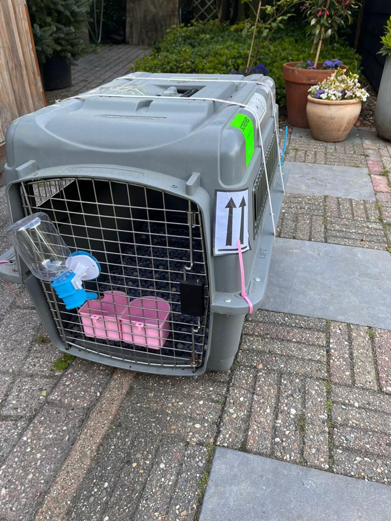 Petmate reisbench, Dieren en Toebehoren, Ophalen, Zo goed als nieuw