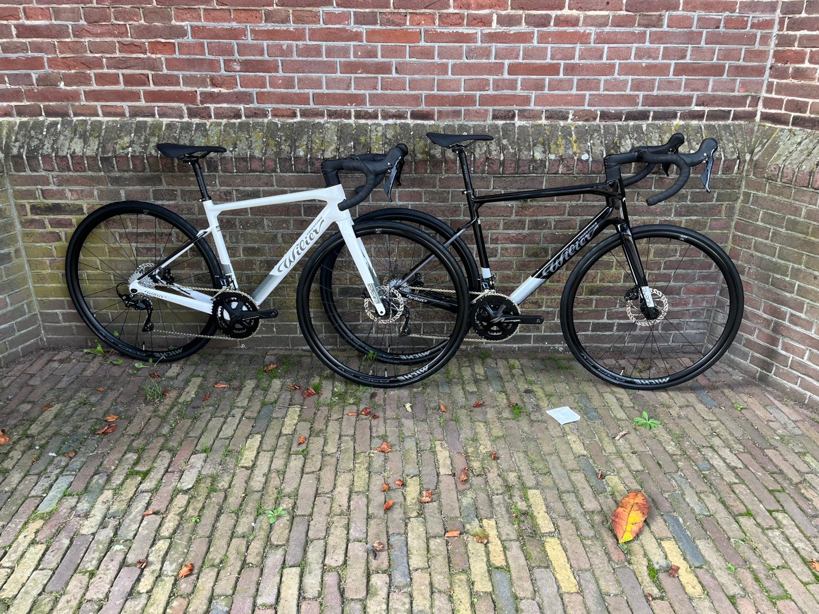 Wilier Garda , Nieuw , Endurance , Carbon , 105 , schijfrem, 28 inch, Carbon, Nieuw, Meer dan 20 versnellingen