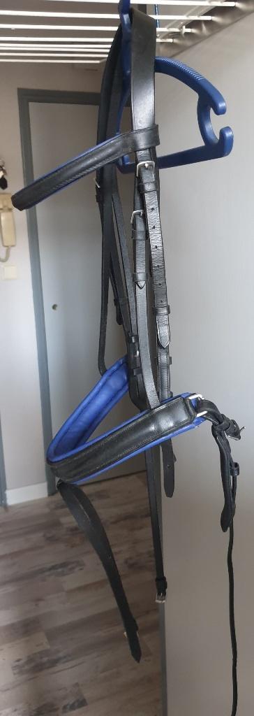 Zwart/kobalt blauw onderlegd hoofdstel, maat full, Dieren en Toebehoren, Paarden en Pony's | Hoofdstellen en Tuigage, Ophalen of Verzenden