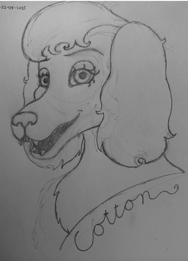 Fursuit furry art commisions, Ophalen of Verzenden