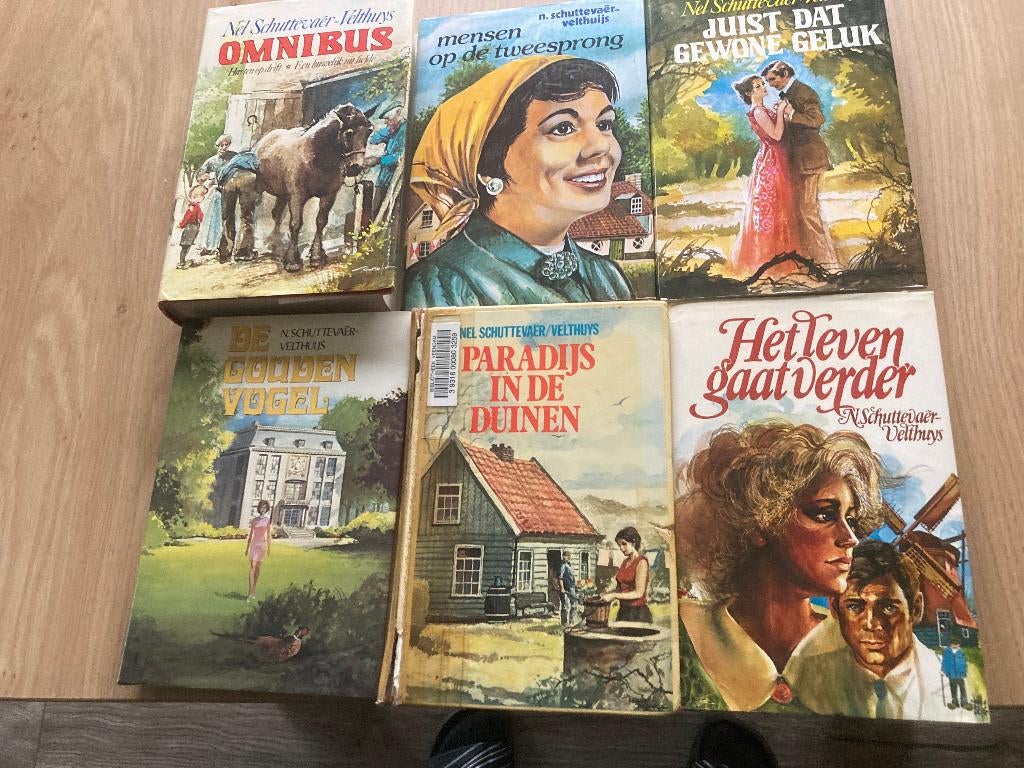 Boek N. Schuttevaer-Velthuys, Ophalen of Verzenden, Gelezen