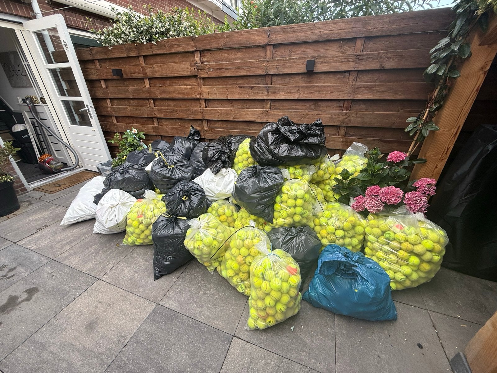 6500 tennisballen / perfecte bruiloftstunt, Gebruikt, Ballen, L00, Ophalen