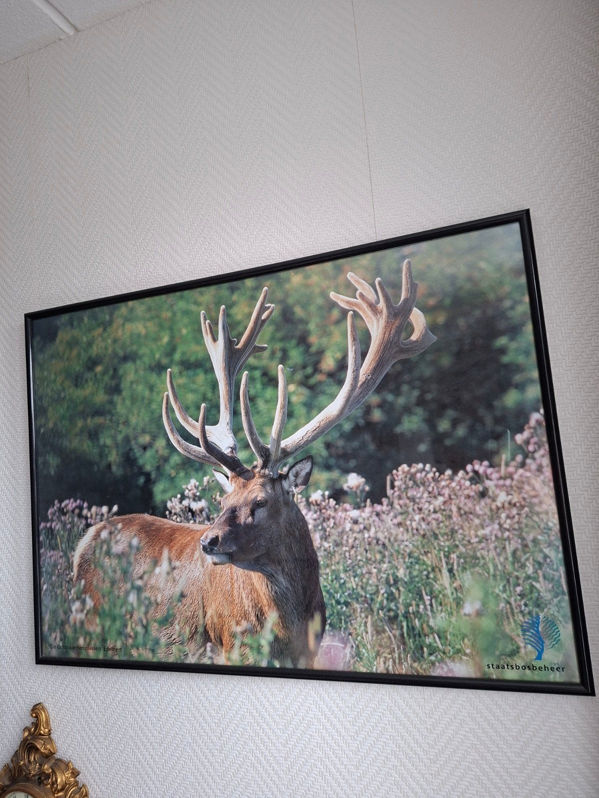 Te koop. Schilderij., Ophalen of Verzenden