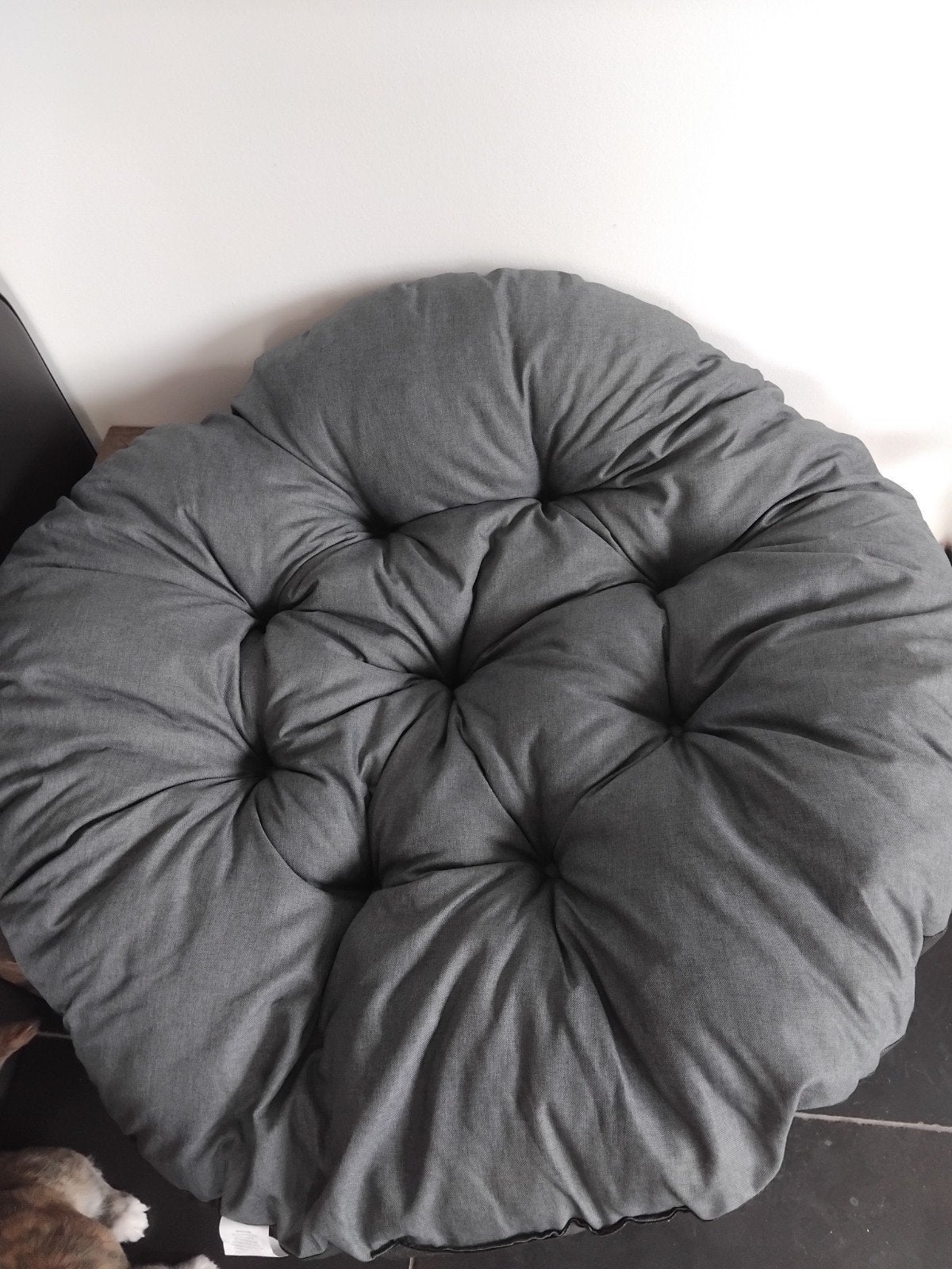 hangstoel of papasan kussen, Ophalen of Verzenden, Nieuw