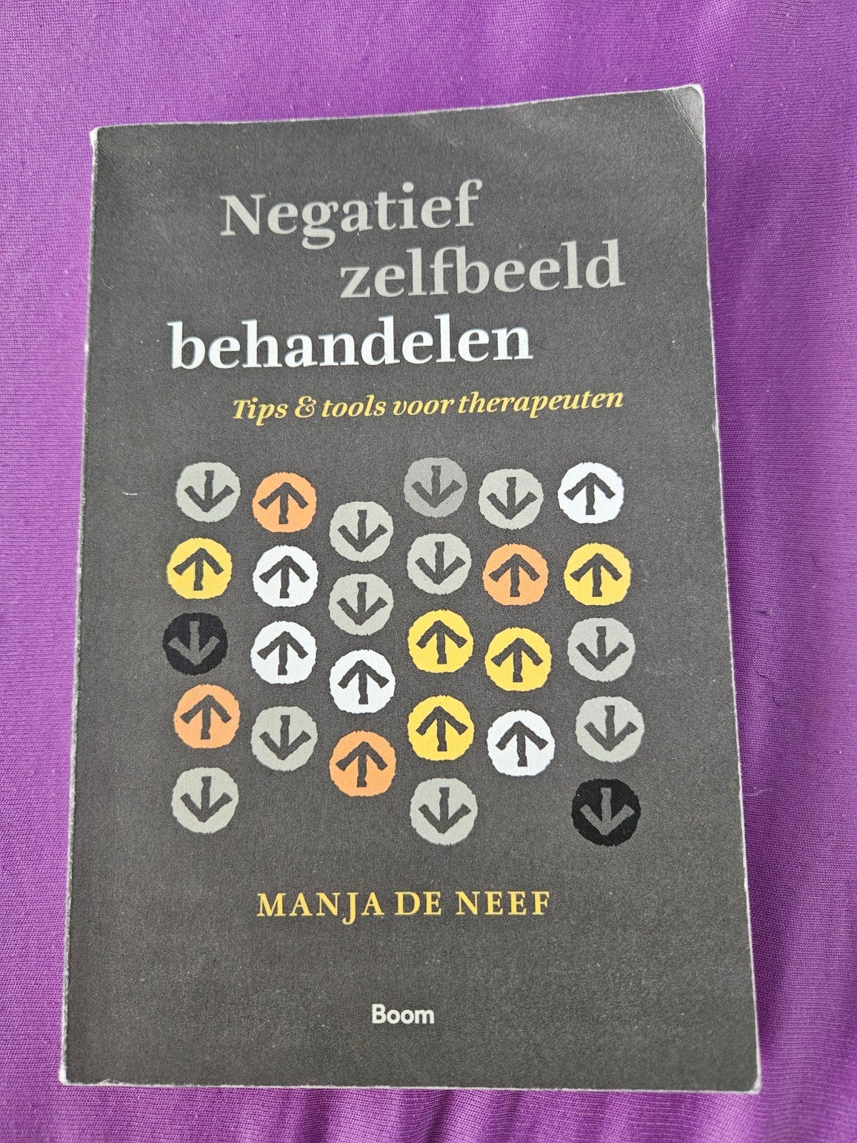 Negatief zelfbeeld behandelen: Tips & tools voor therapeuten, Ophalen of Verzenden