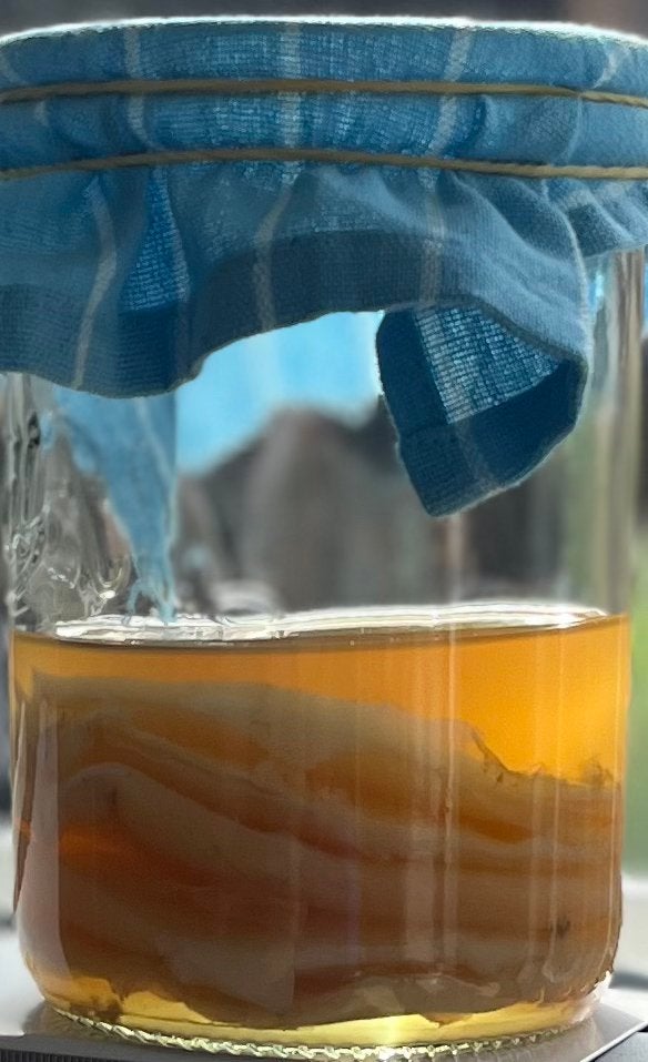 SCOBY, Ophalen of Verzenden
