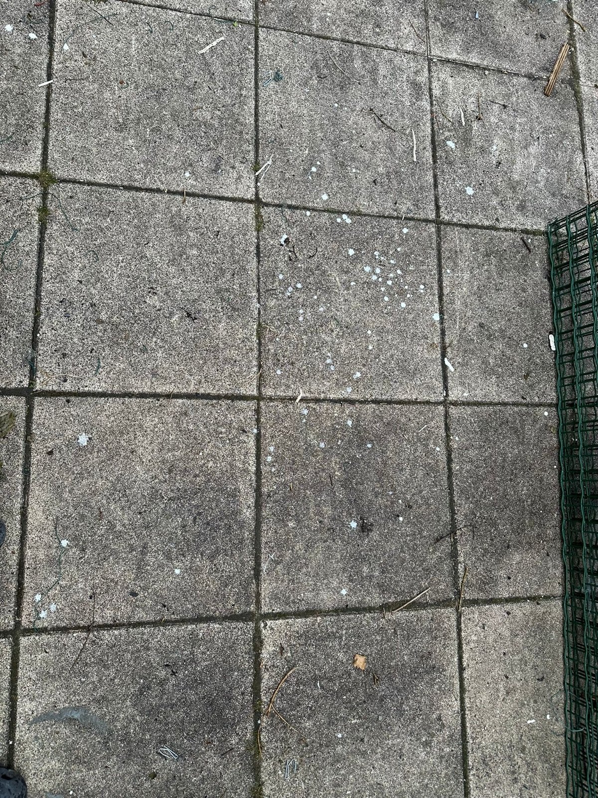 Gebruikte betontegels (40x40) voor terras of pad, Ophalen, 30 cm of meer, Gebruikt, Steen of Klei