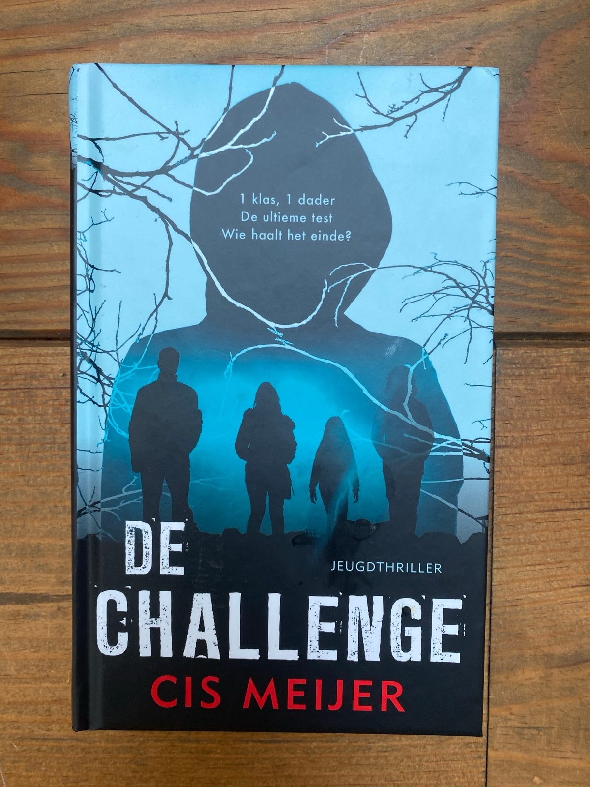 De Challenge - Cis Meijer (Jeugdthriller), Ophalen of Verzenden, Zo goed als nieuw, Nederland