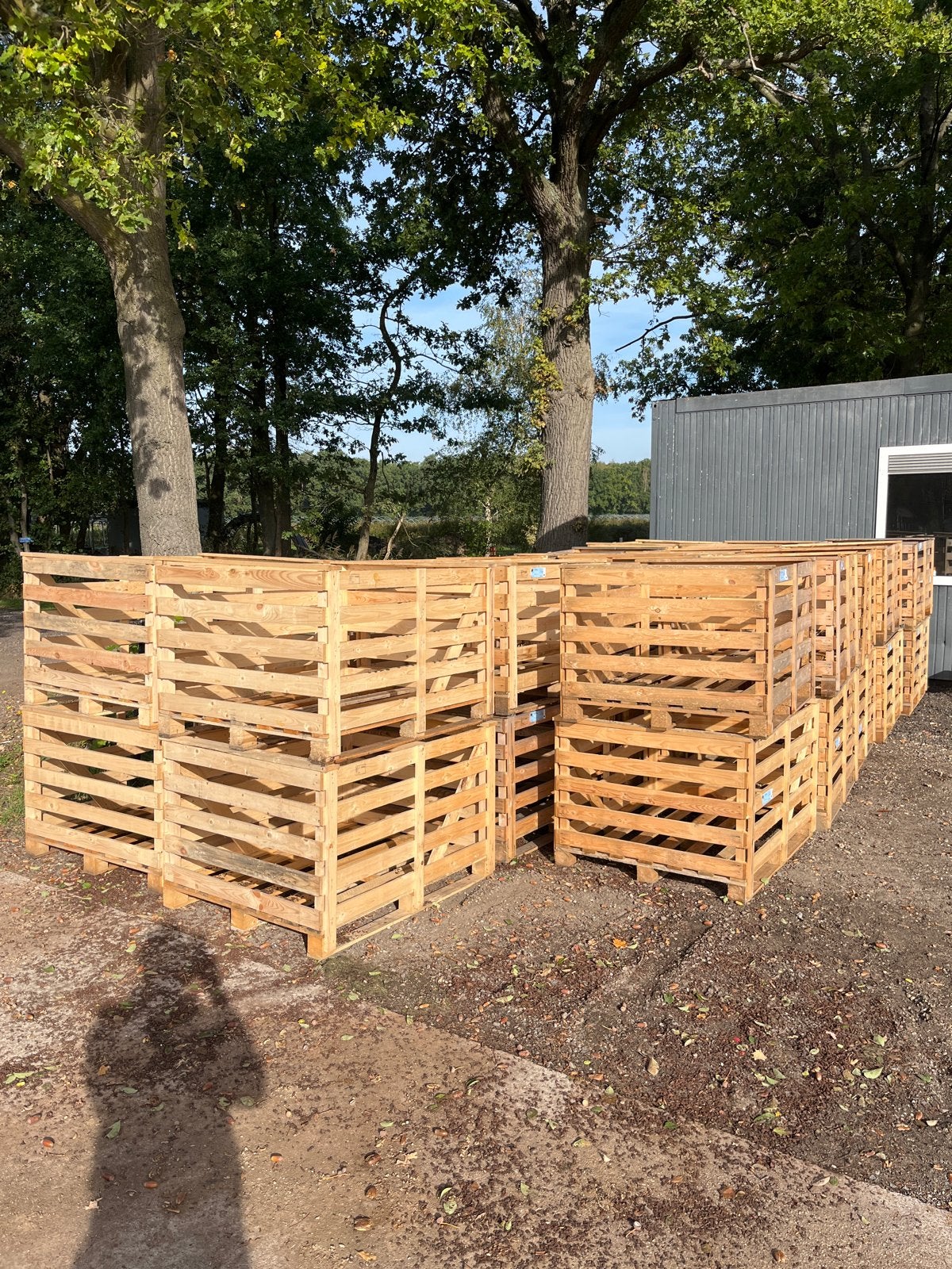 Planten pallet boxen, Ophalen, Doos, 100 cm of meer, 60 cm of meer