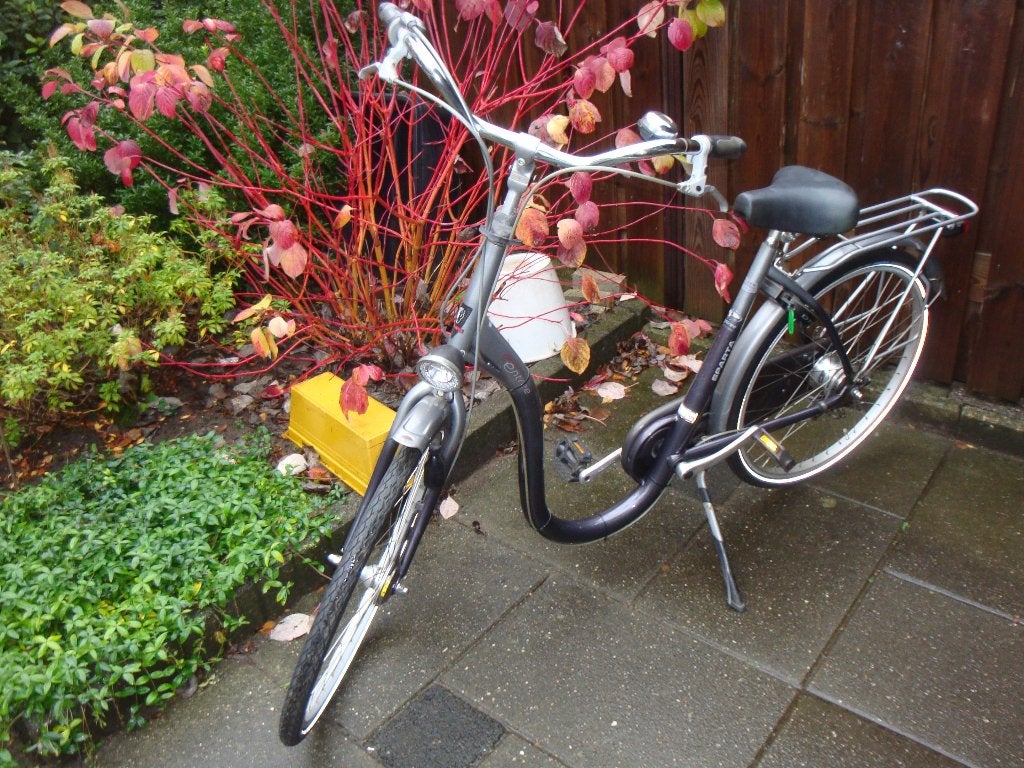 nette sparta entree lage instap damesfiets 50 cm 7V, Ophalen, Sparta, Gebruikt, (Extra) lage instap