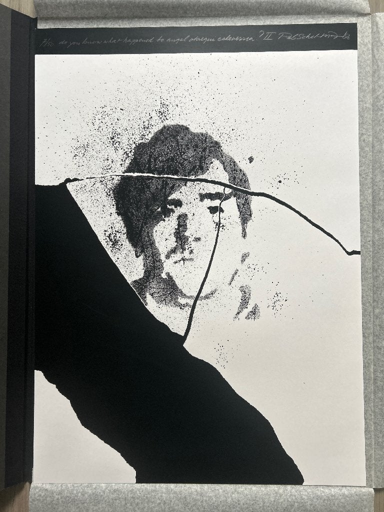 Zeefdruk Rob Schotman    ZOMEROPRUIMING, Gesigneerd, Verzenden, Zeefdruk
