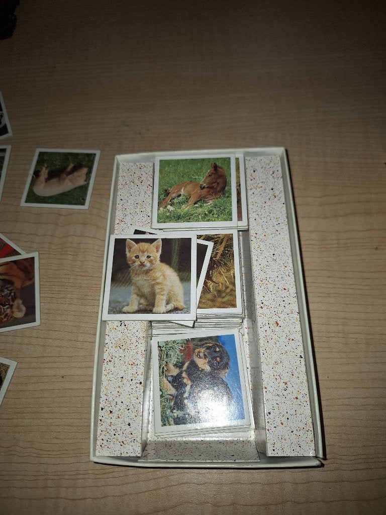 memoryspel dieren, Ophalen of Verzenden, Zo goed als nieuw